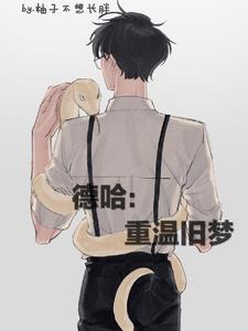 德哈-17