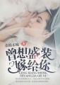 曾想盛装嫁给予免费阅读全文