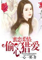 蜜恋柔情:偷心猎爱