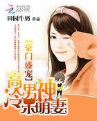 豪门盛宠:高冷男神呆萌妻